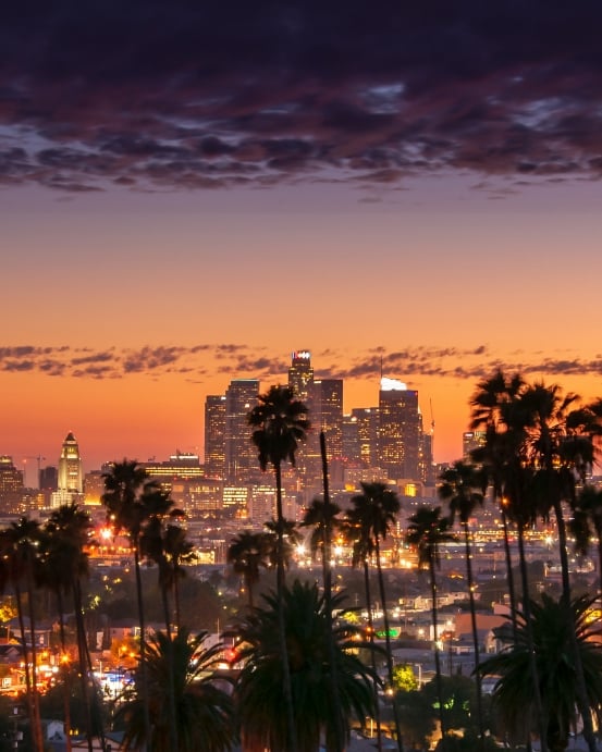 The Los Angeles skyline